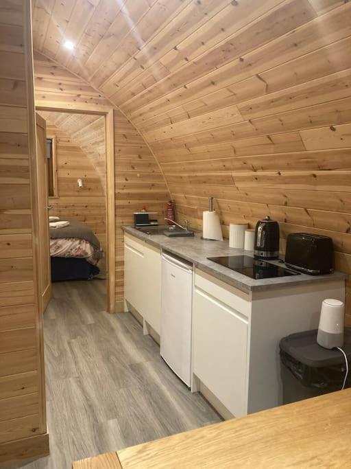 Eco-friendly 1 * Norton Disney